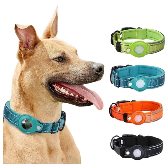 Collar para Perros con Estuche para Dispositivos de Rastreo, Compatible con Airtag (No incluye Airtag)