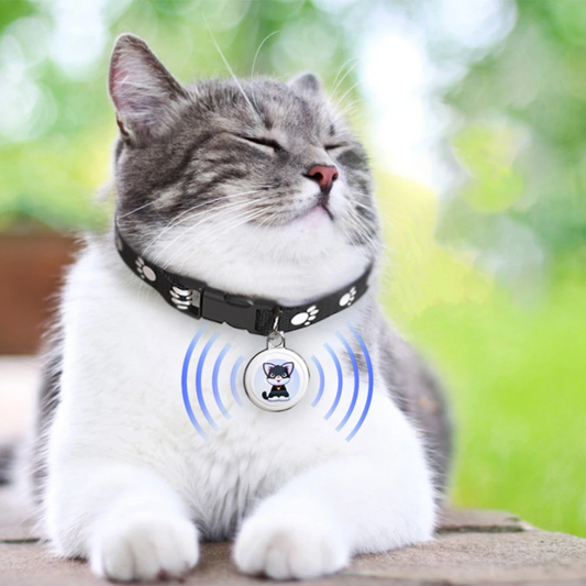 Collar GPS de Alcance Ilimitado para Mascotas (Android - IOS)