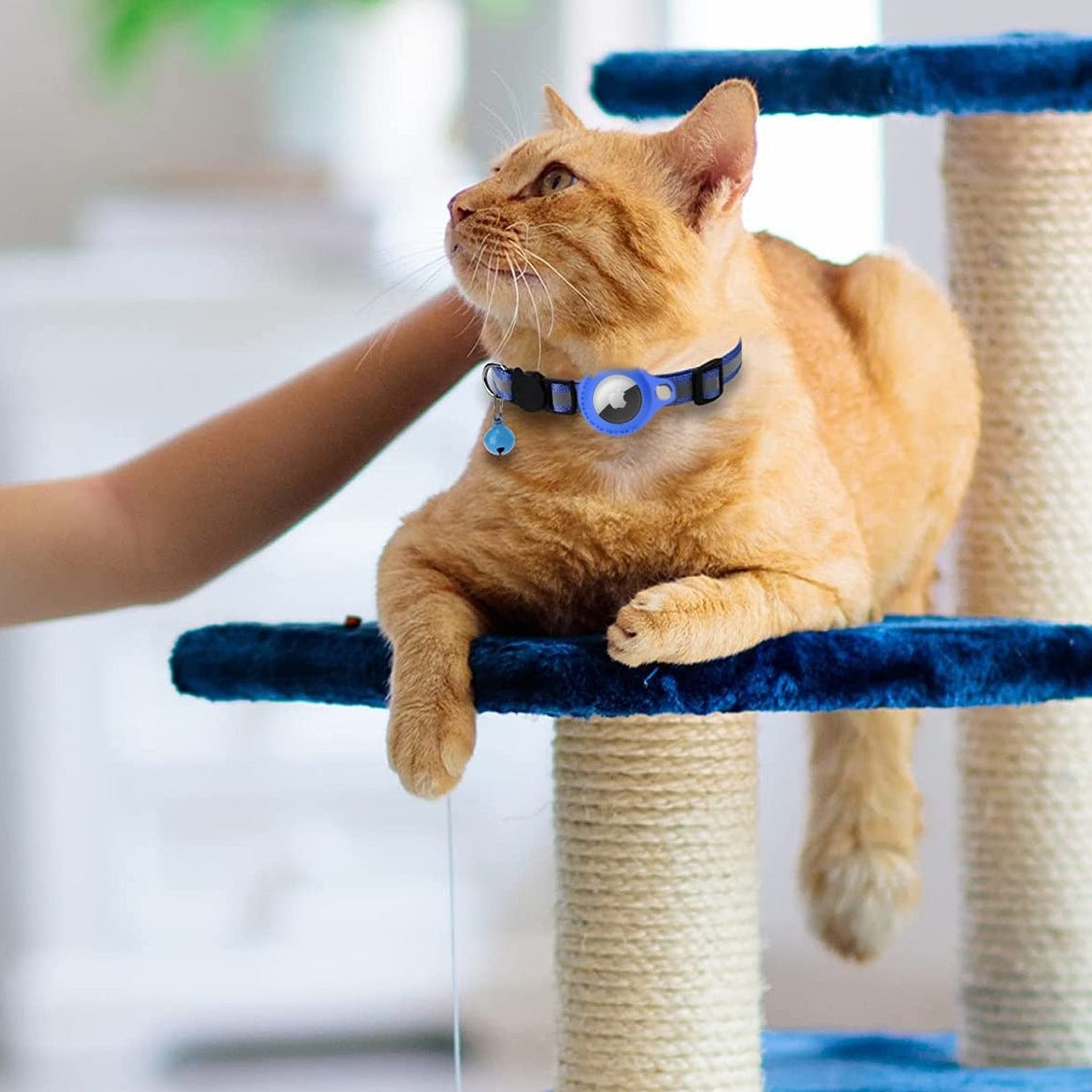 Collar Rastreador para Gatos y Perros con estuche para Airtag – Kliki