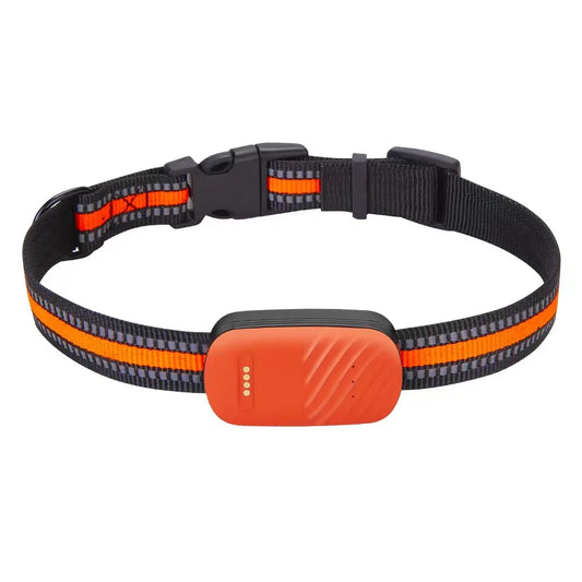 Collar Localizador GPS 4G para perros y gatos con Tarjeta SIM (No incluida)