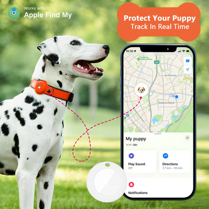 Collar con GPS para Perros para iOS con Sistema Bluetooth